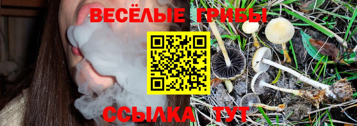Черняховск  Псилоцибиновые грибы Magic Shrooms  где можно купить   Вход с VPN 